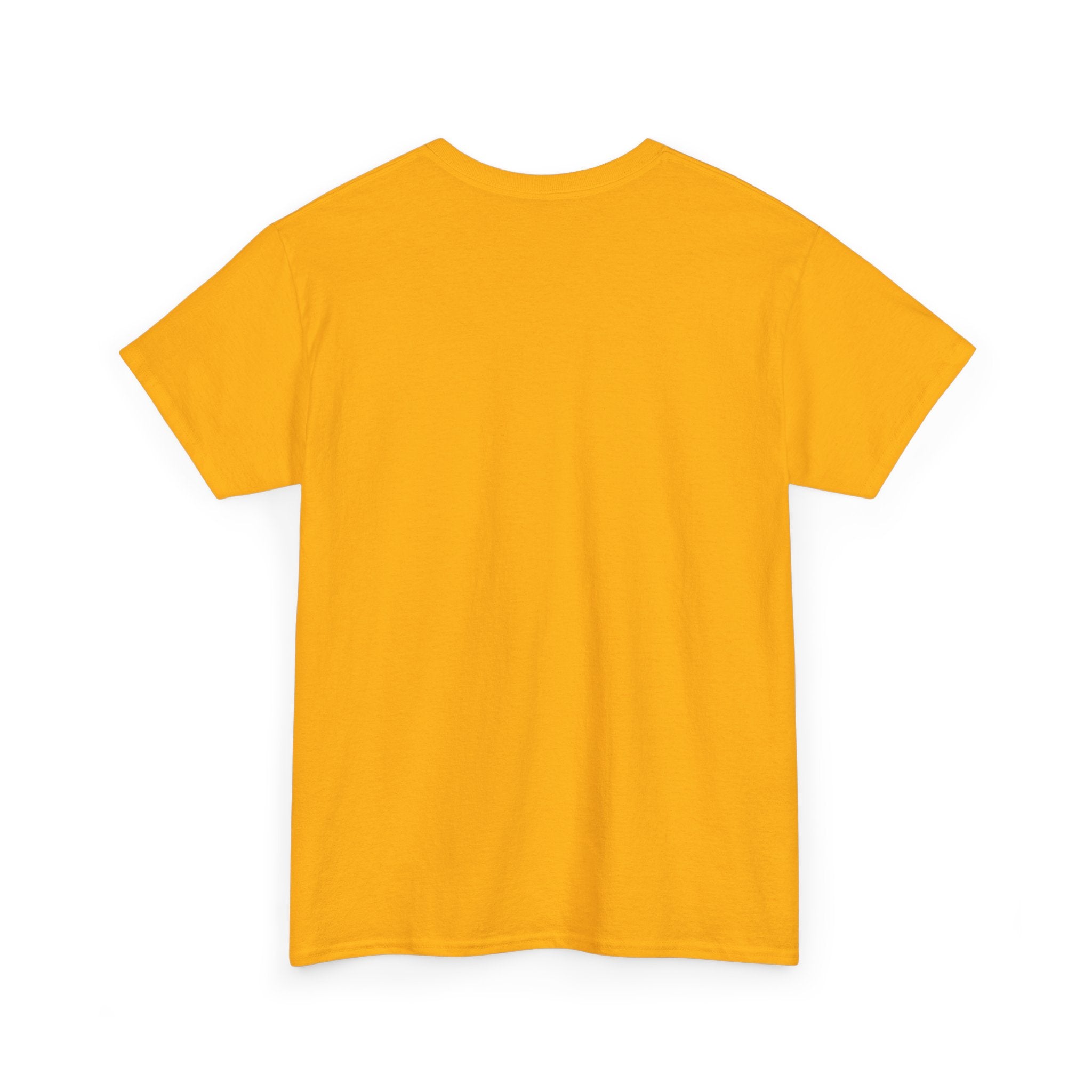 “Nervous Approach Slowly” T-Shirt — Funny Anxiety Awareness Tee